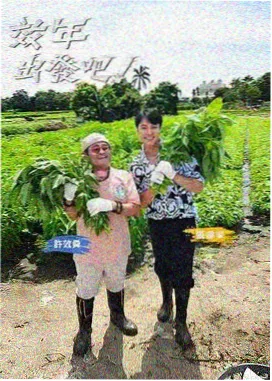 声浪之外缩略图
